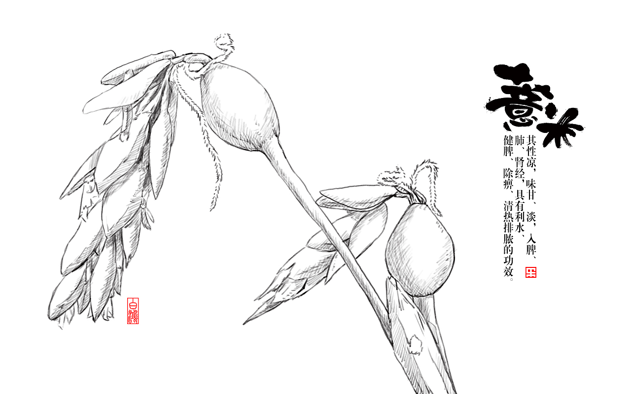 红豆薏米粉包装 字体 插画（图ZOTA3MDExMDQ=） - 字体/字形 - 站酷设计师白鸿原创素材 - 站酷ZCOOL