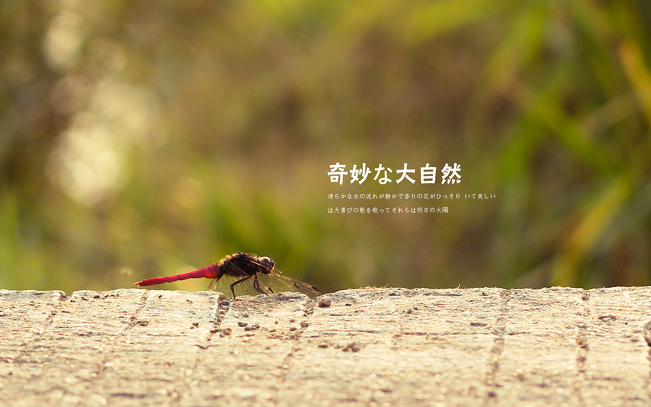 日出，日落，星空，夜。（下集）（图ZMTE3OTMwMzY=） - 风光摄影 - 站酷设计师michaelpst原创素材 - 站酷ZCOOL