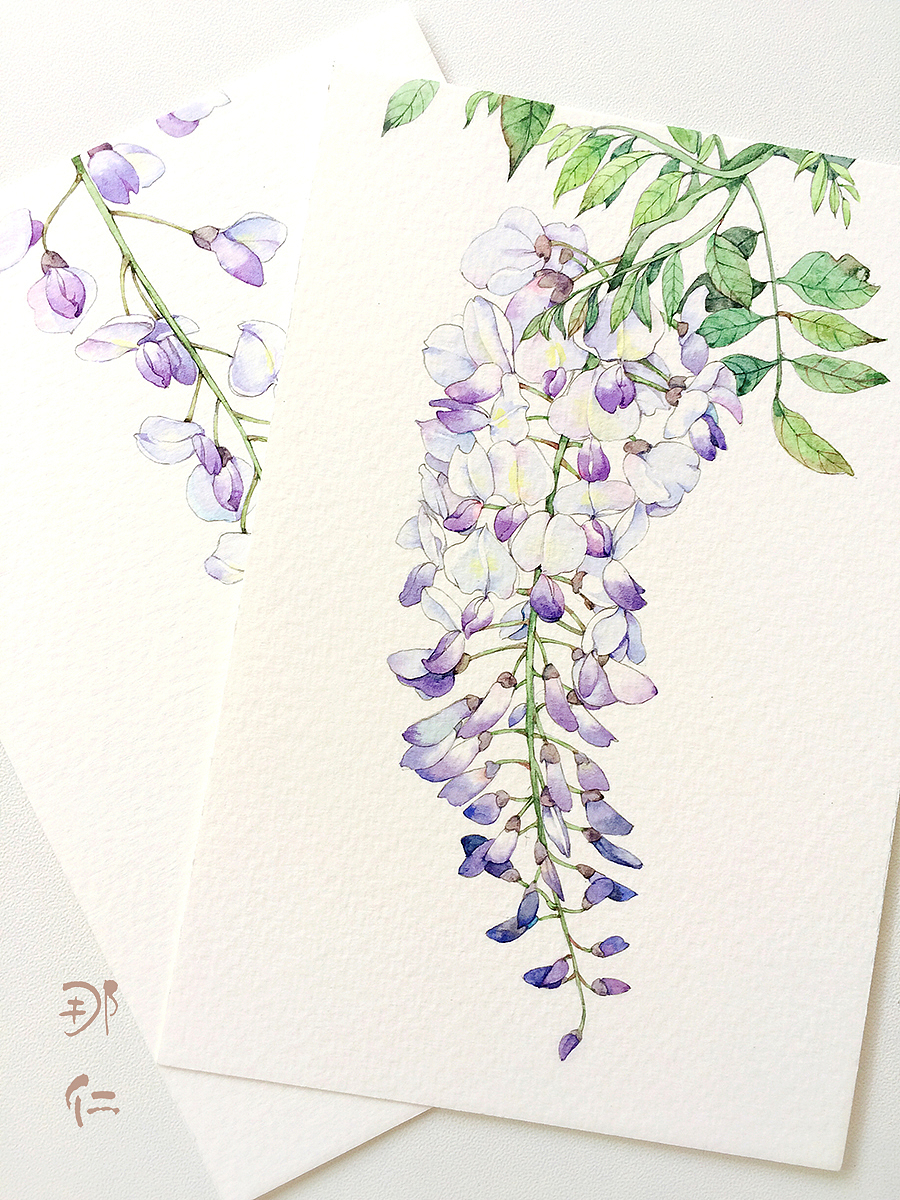那仁插画＃花草绘集＃（图ZNDcxMDAzNzY=） - 商业插画 - 站酷设计师那仁原创素材 - 站酷ZCOOL