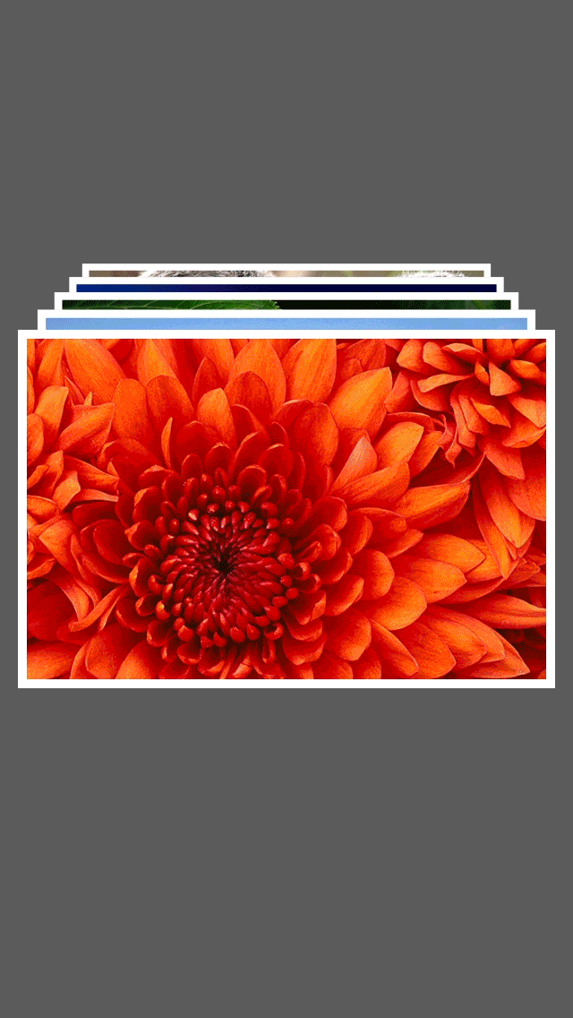 640_1136竖版 竖屏gif 动态图 动图