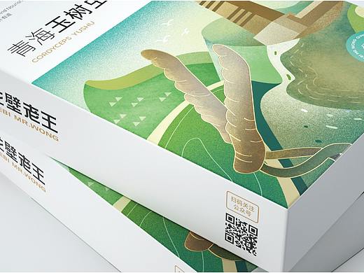 全案 | 戈壁老王滋补品牌全案策划设计 | 小李白