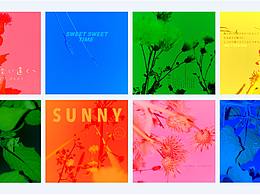 臭水沟旁边的花花草草