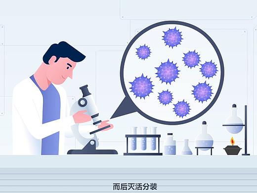 MG科普动画—国药集团—猪圆环病毒疫苗—悸动文化