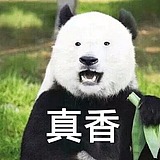 真香熊猫的头像