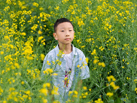 柏霖,那一片花海中的少年