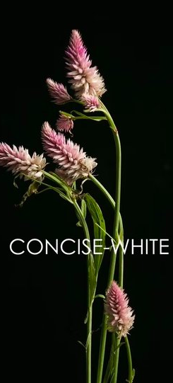 张明达的个人主页（封面预览） - 主页封面设置 - 站酷设计师张明达原创素材 - 站酷ZCOOL