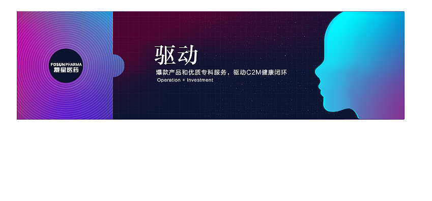 复兴药业部分 kv