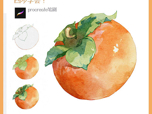 包学包会水彩画柿子🎨水果系列第一弹