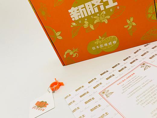 新脐士——伦晚脐橙 包装设计 橙包装