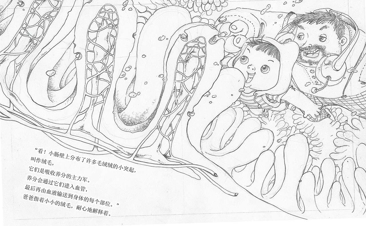 小身体大秘密系列身体科普绘本