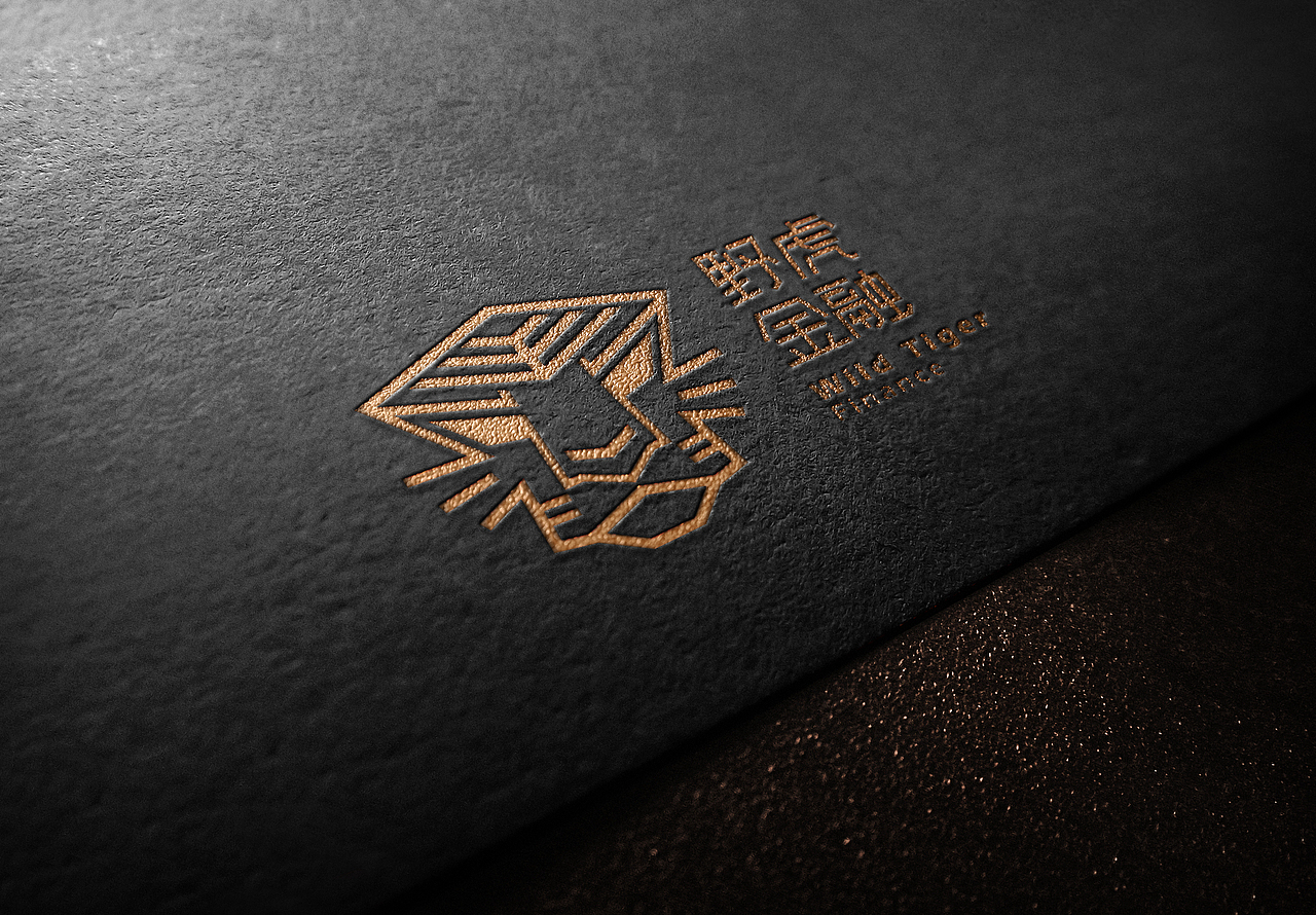 金融公司logo(已商用）（图ZNjE1MjY0MjA=） - 图案 - 站酷设计师binne宾尼原创素材 - 站酷ZCOOL