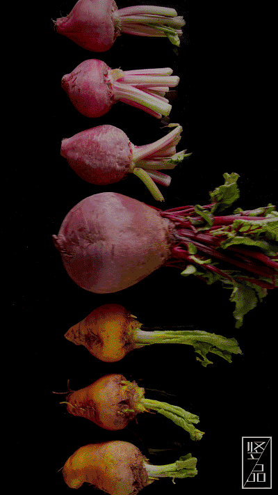 曾经拯救了法国人的命,更是西餐里不可或缺的食材,