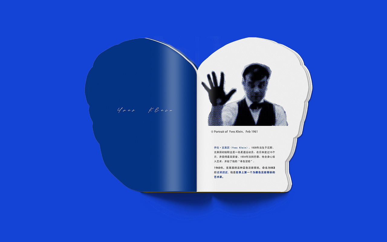 伊夫·克莱因画册