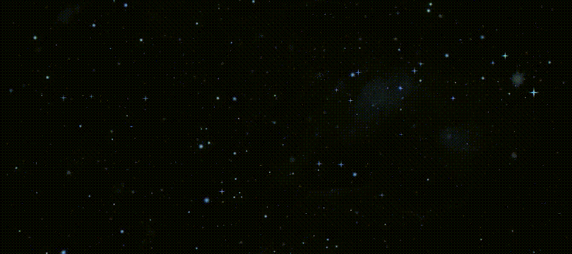 温江区第十一届社区文化节