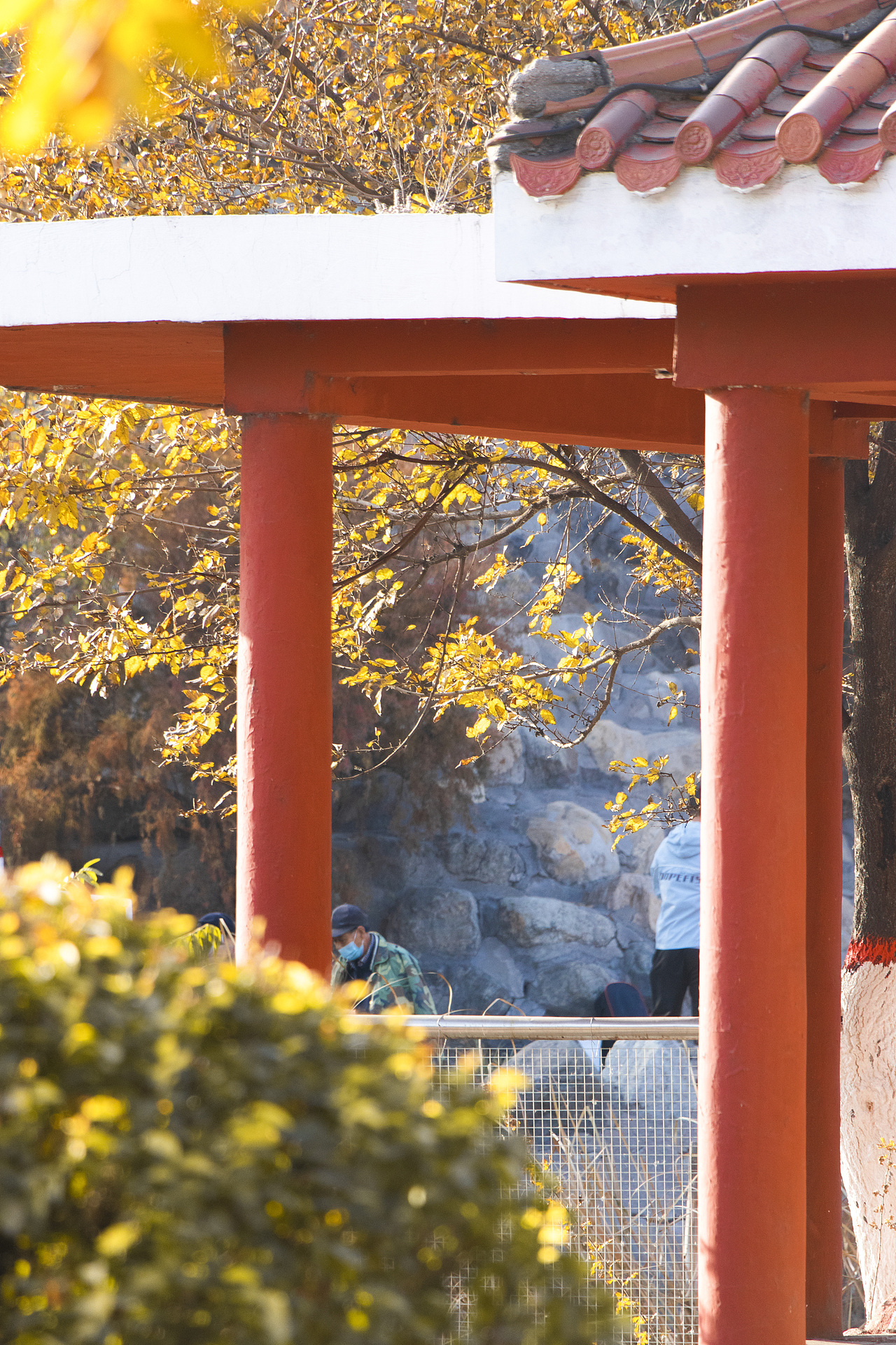 光影之间（图ZMjkyOTQ2MjQ4） - 风光摄影 - 站酷设计师南澄原创素材 - 站酷ZCOOL