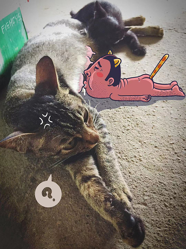 改造无趣照片，你只需要一个他（图ZMTc3MzY4NTU2） - 新锐潮流插画 - 站酷设计师陈小鱼fishcys原创素材 - 站酷ZCOOL
