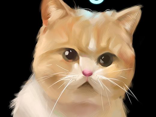 猫咪（个人主页-ZNTMyNTMwNDg=） - 创作习作 - 站酷设计师小小周zhou原创素材 - 站酷ZCOOL