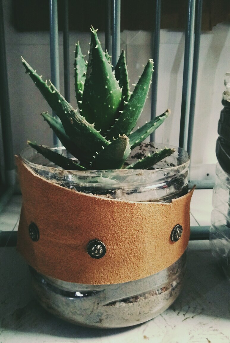 墻角的一景之廢物再利用（圖ZNDY5NzkxMzI=） - 其他手工藝 - 站酷設(shè)計師惑空原創(chuàng)素材 - 站酷ZCOOL