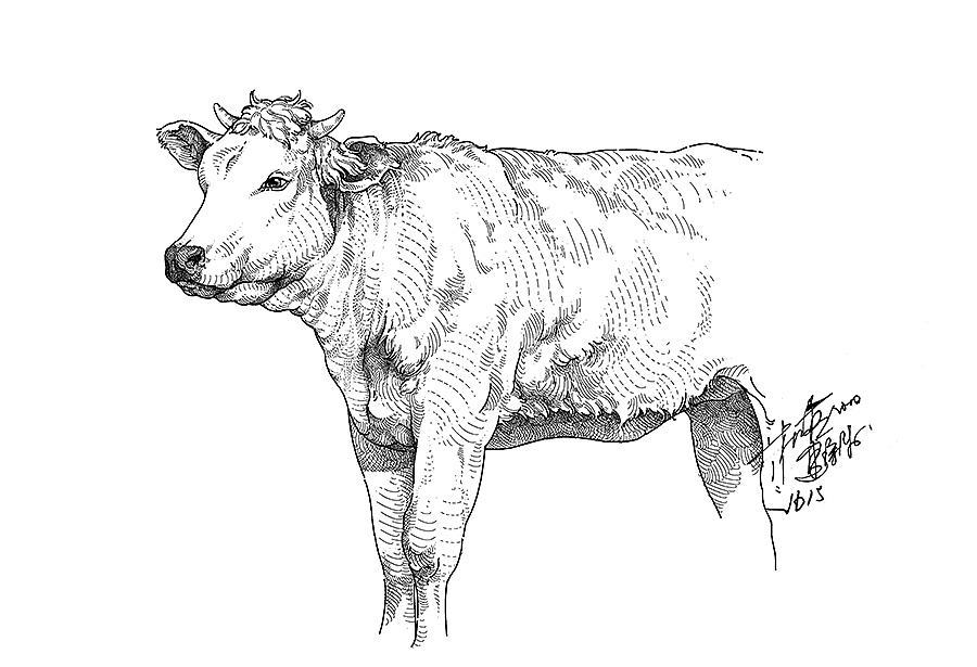 2622（图ZMjIzNzU3OTA0） - 绘画 - 站酷设计师DX_IDO原创素材 - 站酷ZCOOL