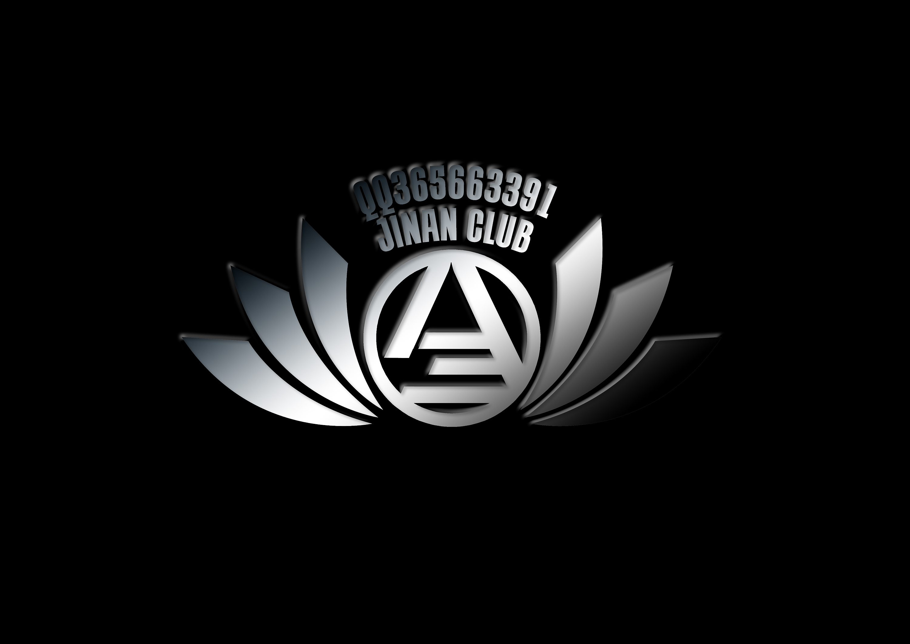 奥迪a3车友会 会标