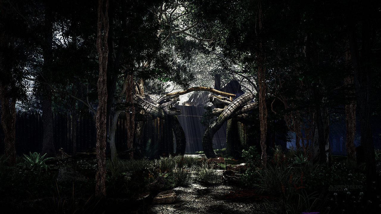 关于部落的遗迹