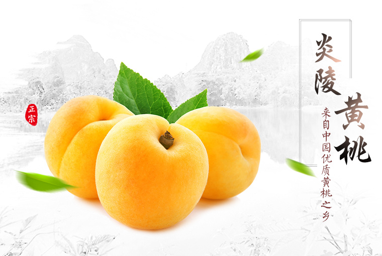 天猫淘宝炎陵黄桃水蜜桃水果生鲜详情页众筹页面设计|网页|电商|沐冉