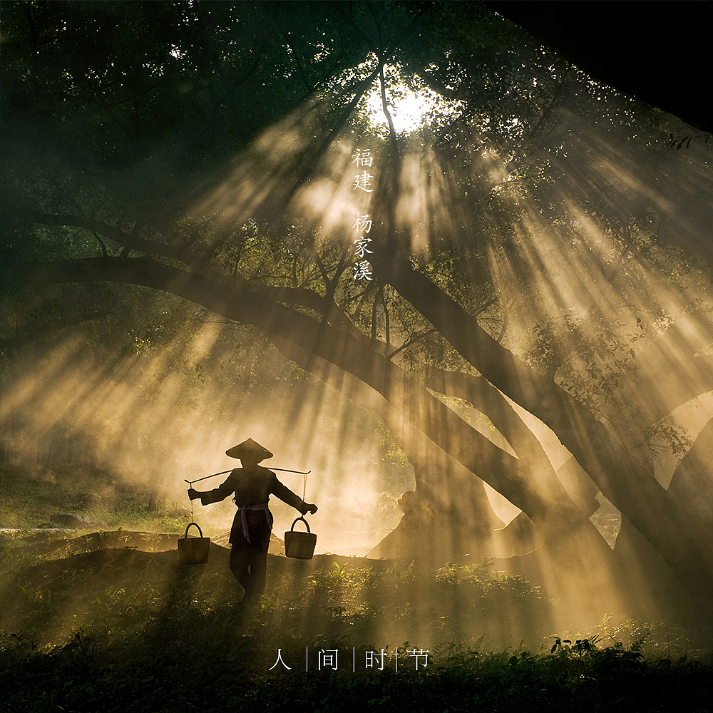 小满
福建 霞浦 <br>阳光从树林从中的空隙中倾泻下来,<br>瞬间被眼前的景色所击中,<br>几乎忘记去按下快门。<br>