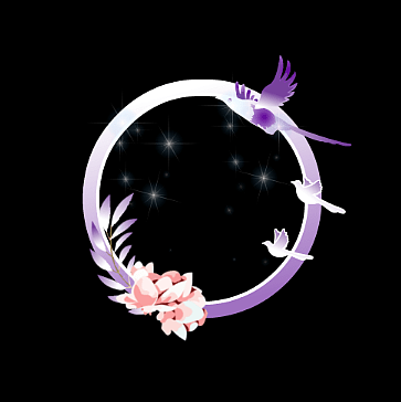 定制版权头像框麦位框svga动画动效2