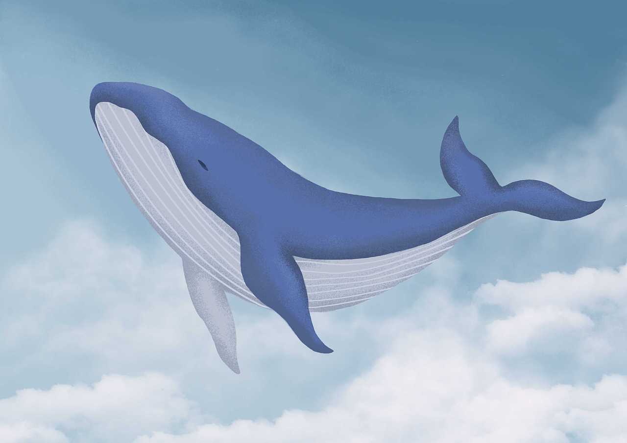 大蓝鲸矢量卡通标志设计设计图__LOGO设计_广告设计_设计图库_昵图网nipic.com
