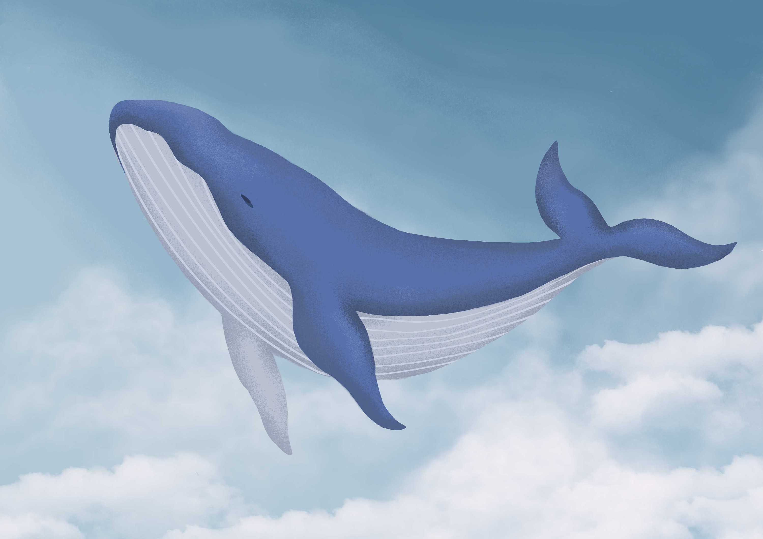世界海洋日手绘白色鲸鱼图片素材免费下载 - 觅知网