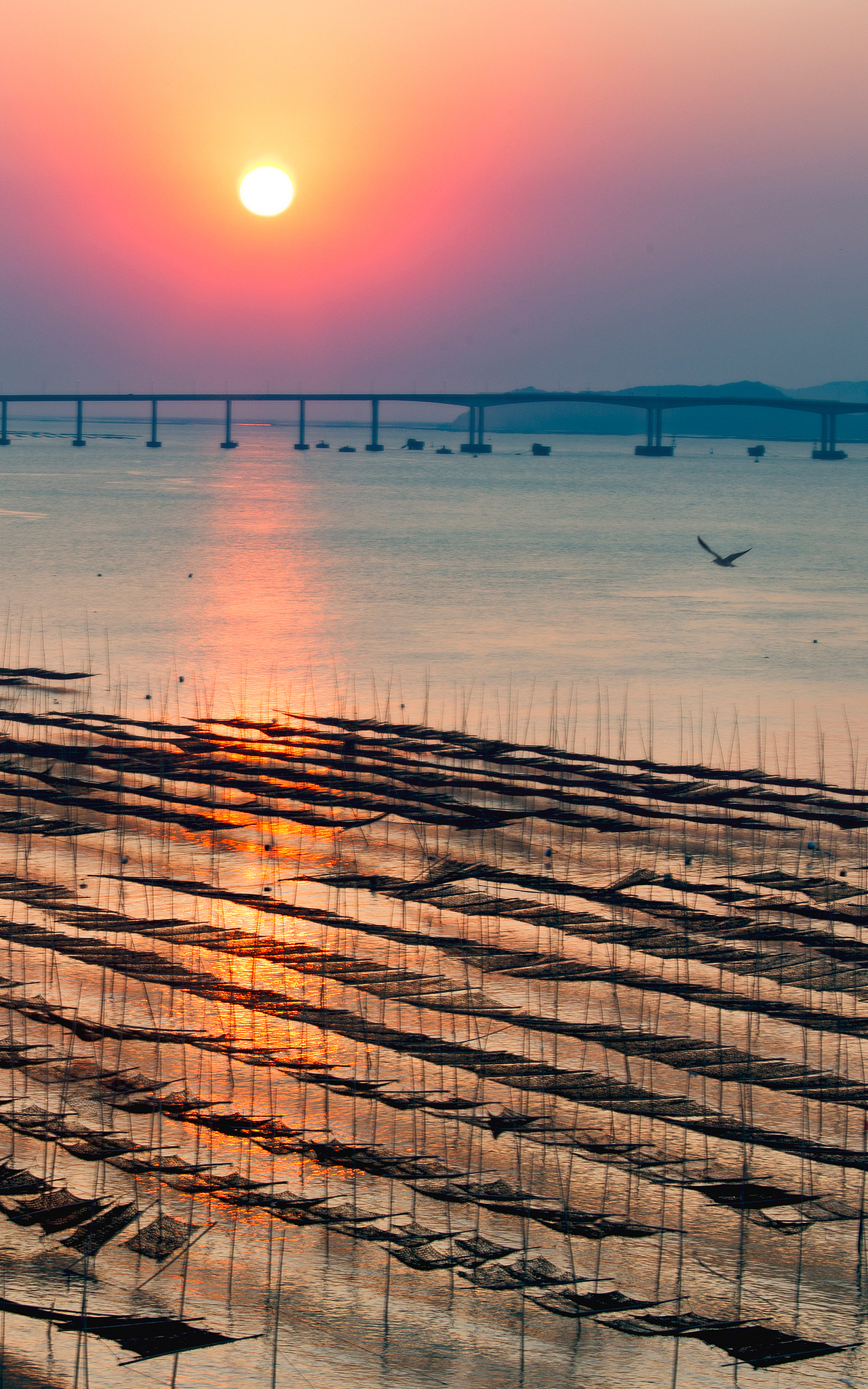 30张海景手机壁纸