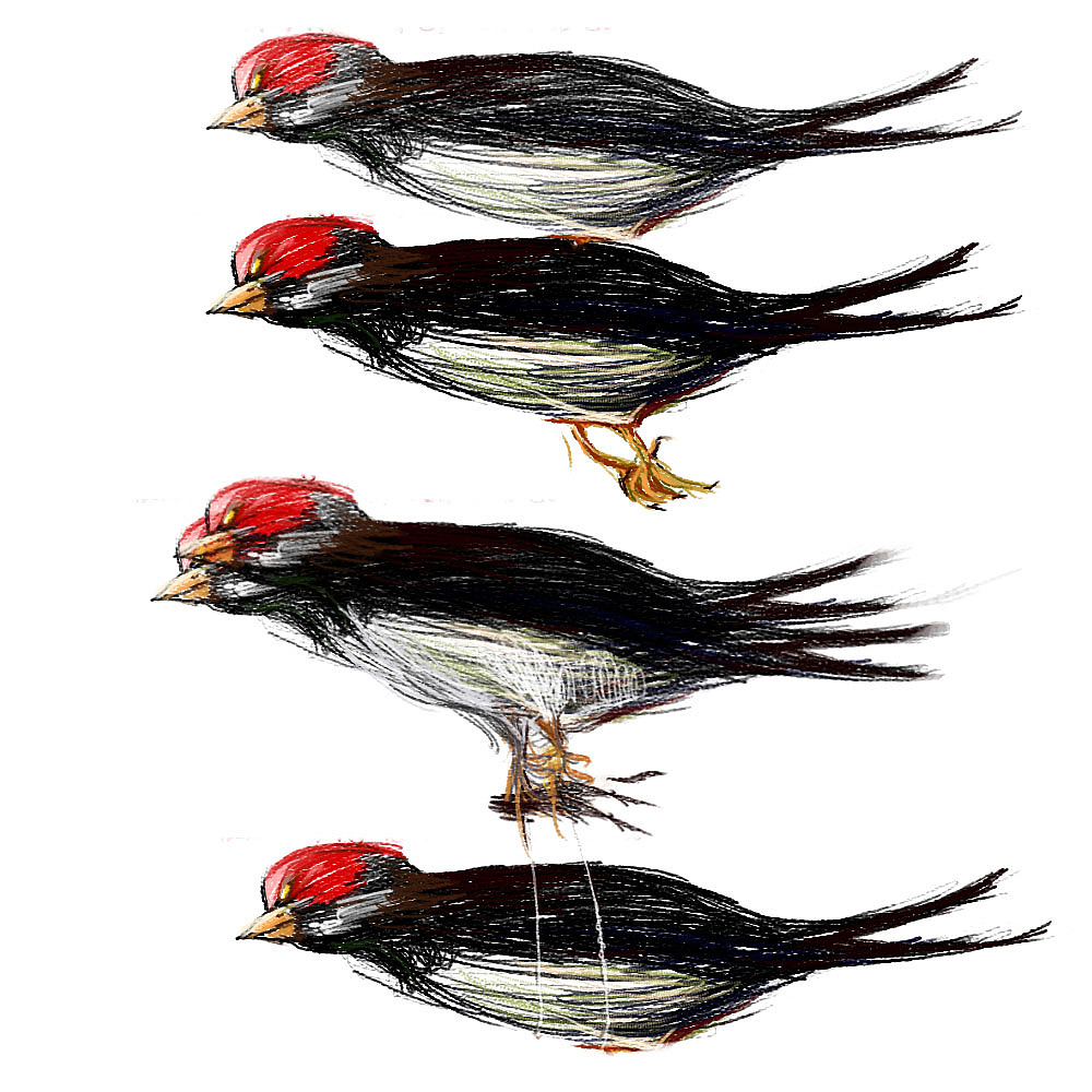 Z032【画筒】整理出一些 - Poken