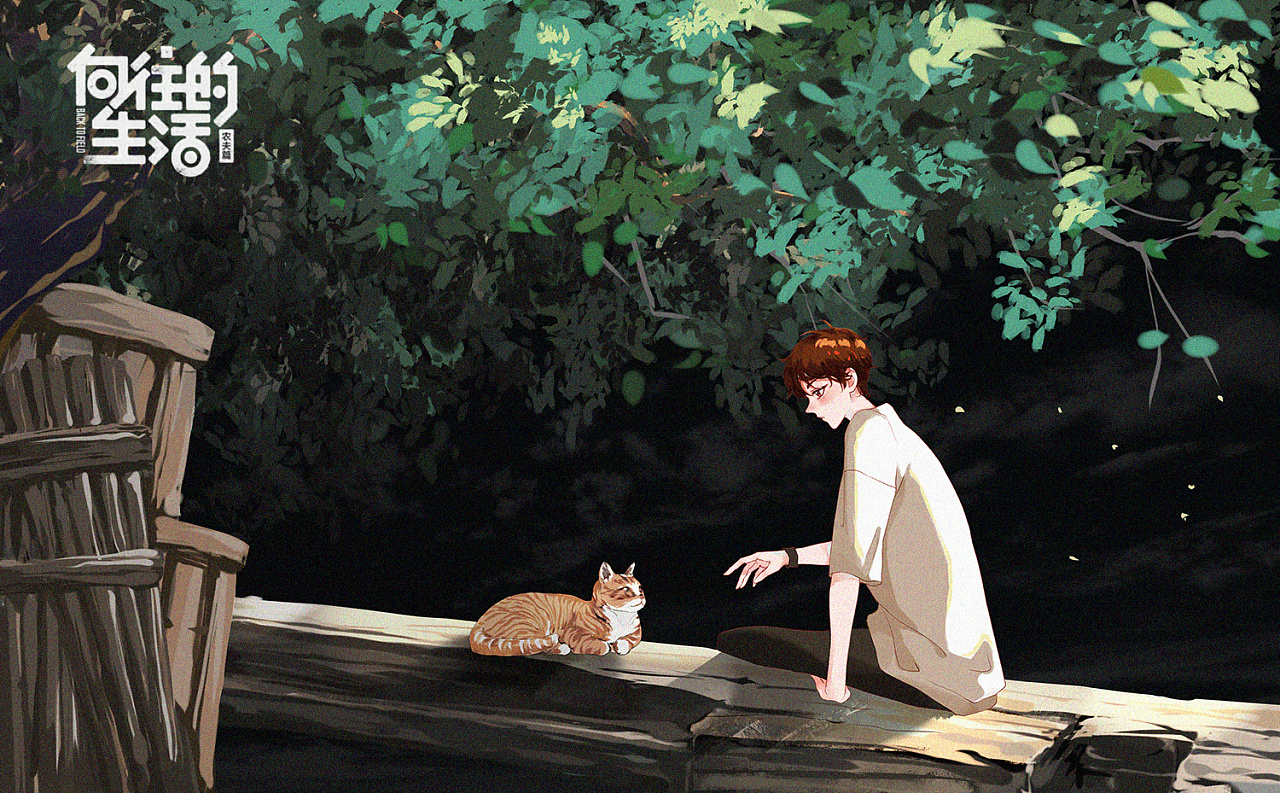 夏日3-猫与少年