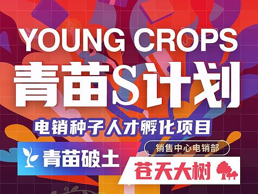 天鹅到家-培训项目