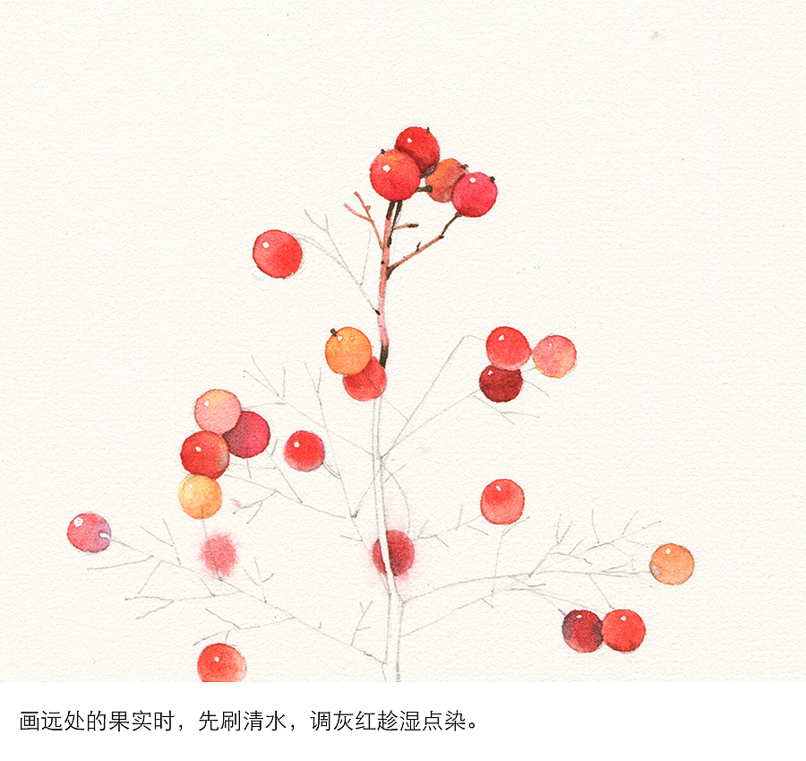 那仁水彩教程书籍之南天竹——图文详解