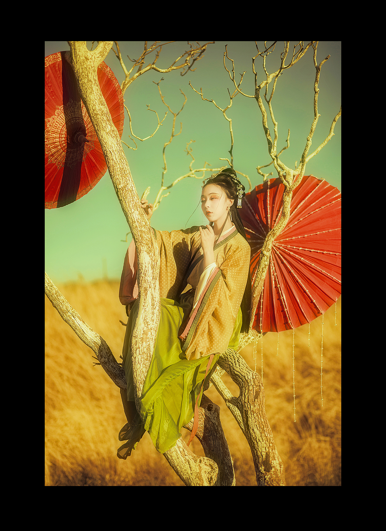 「-暮林不归」