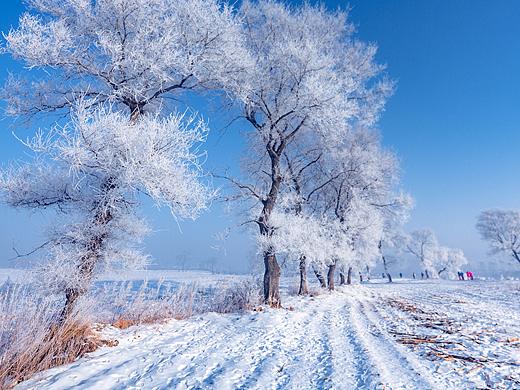 那年去吉林遇见了冬天的雪