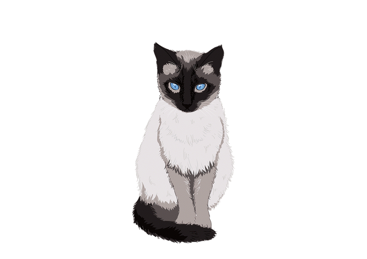 好多的猫咪（图ZMjMzNTc2MTEy） - 图案 - 站酷设计师NIYANIYA原创素材 - 站酷ZCOOL