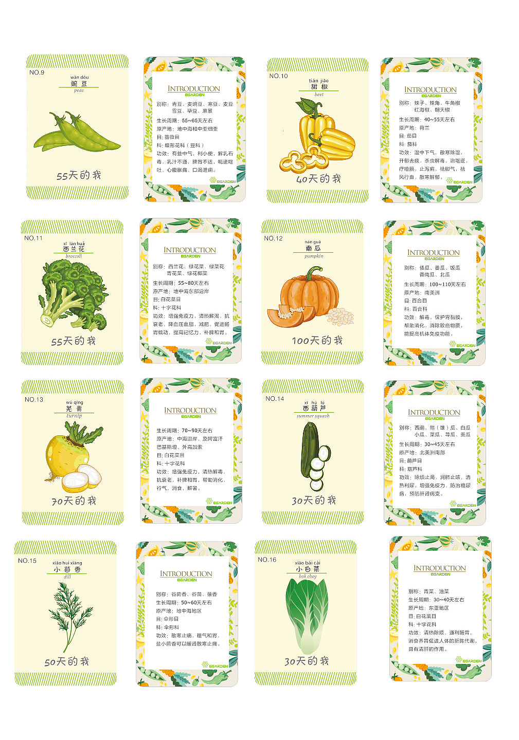 蔬菜卡片