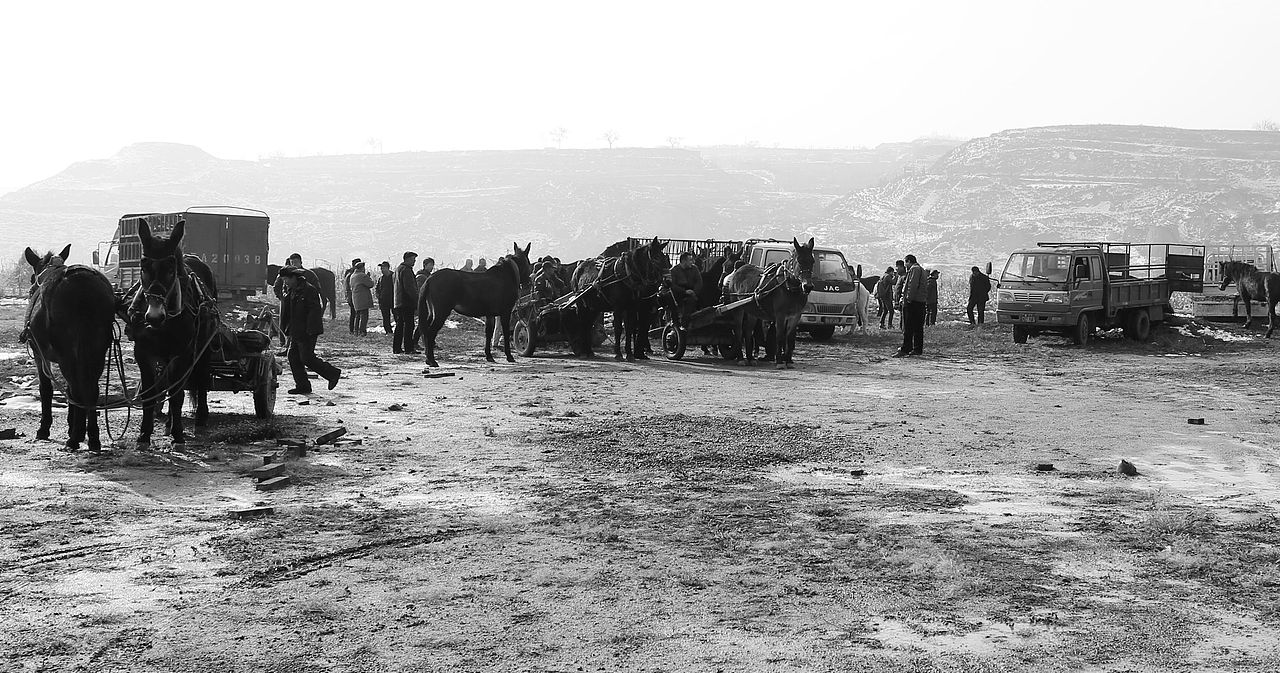 西洛镇纪实摄影