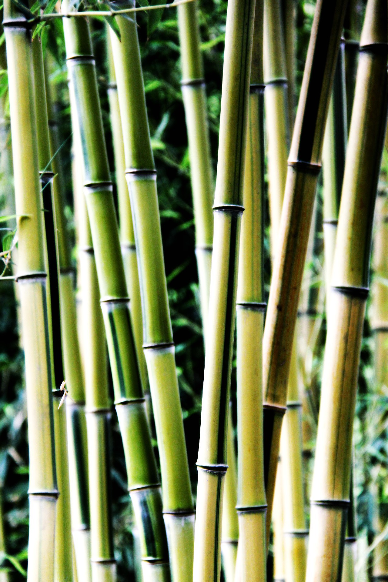 千年古刹潭柘寺