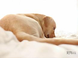 不负时光，珍惜和你相处的每一分每一秒