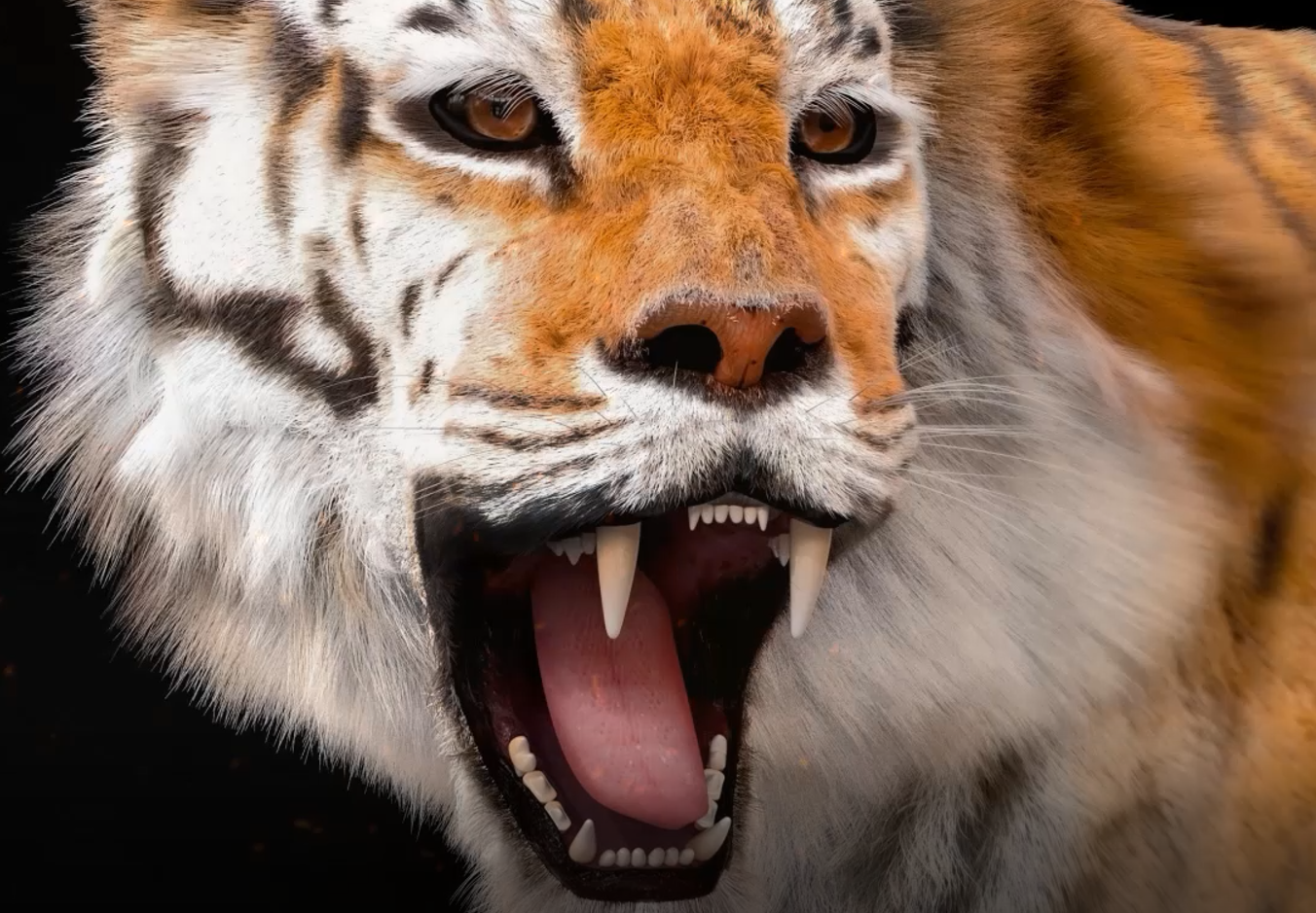 影视动画动物模型《老虎》