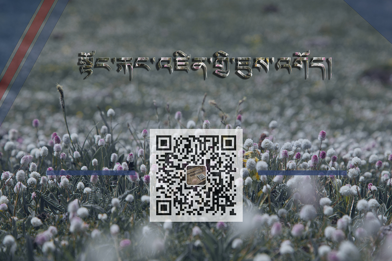 西藏风景摄影（图ZMjg2ODY5Nzk2） - 风光摄影 - 站酷设计师东岗曾设计工作室原创素材 - 站酷ZCOOL