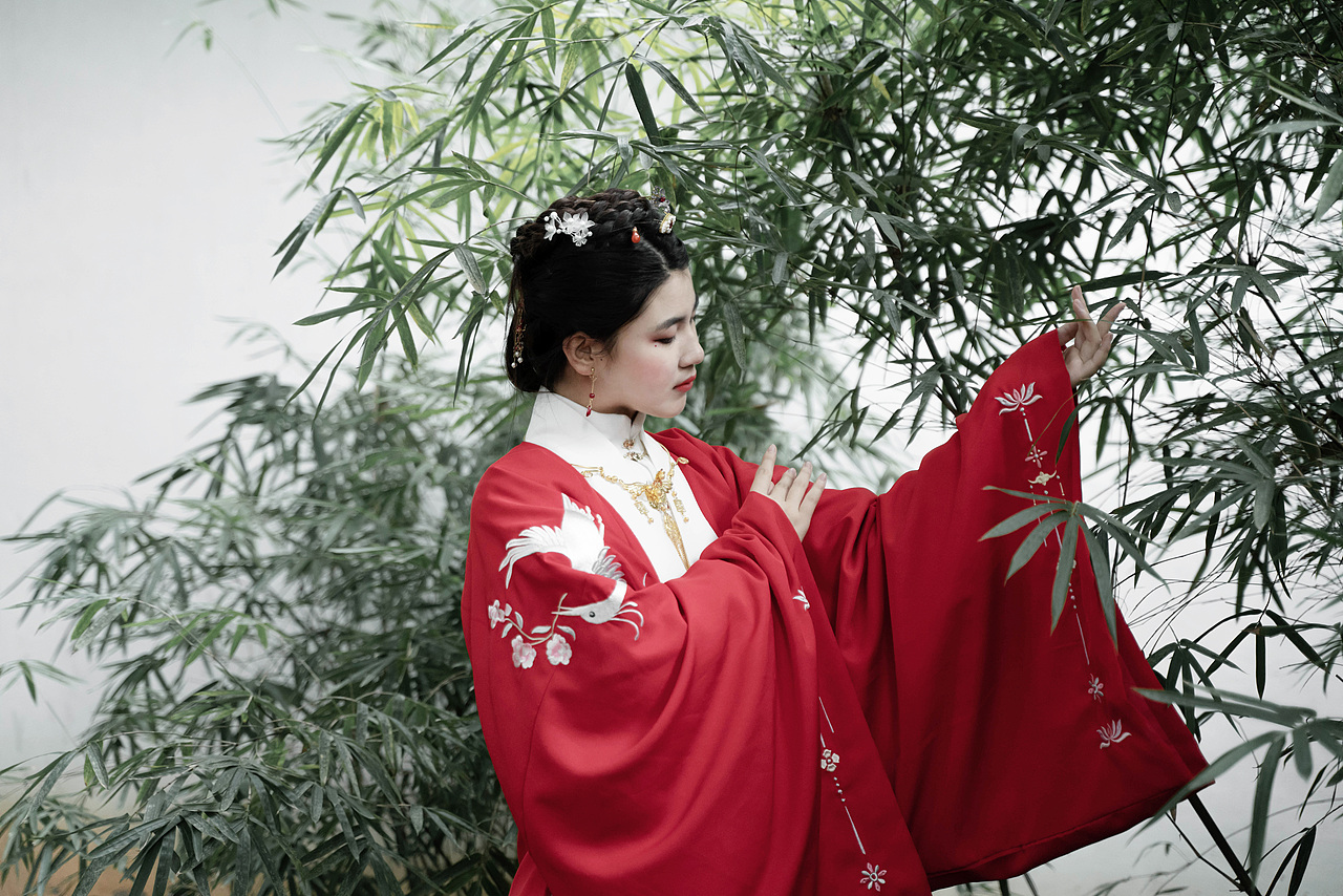 一袭红衣醉白鹭