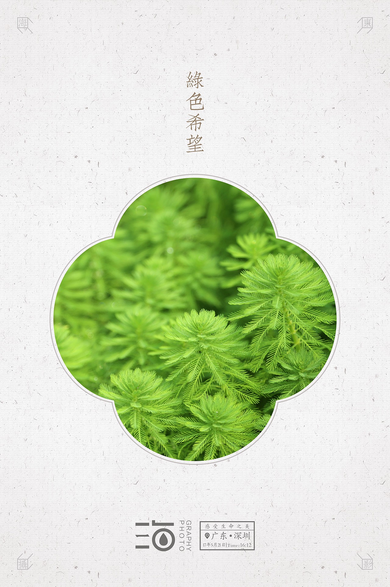捕光者（图ZMTU1NTc1NDA4） - 风光摄影 - 站酷设计师易海东原创素材 - 站酷ZCOOL