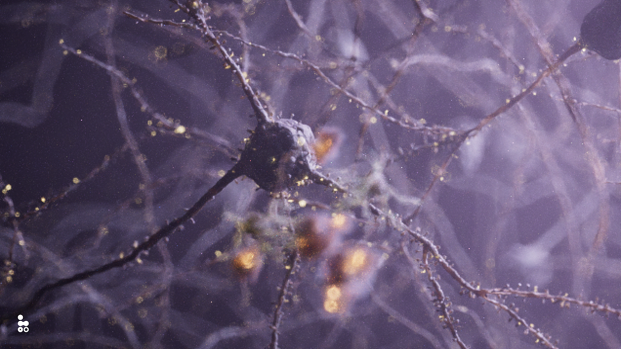 脑新生 动态设计（图ZMzE1MTEzODky） - 人物/生物 - 站酷设计师omoolab原创素材 - 站酷ZCOOL