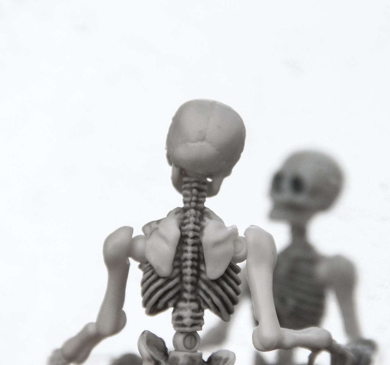 克林克兹在照镜子