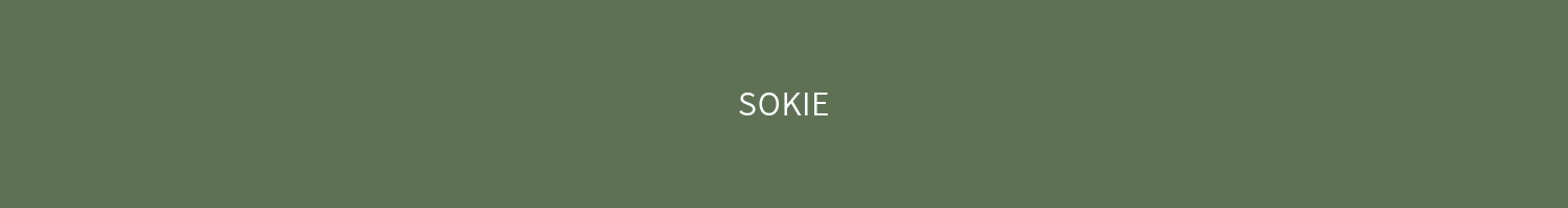 sokie_lee的个人主页（封面预览） - 主页封面设置 - 站酷设计师sokie_lee原创素材 - 站酷ZCOOL