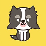 王比森bsen的头像